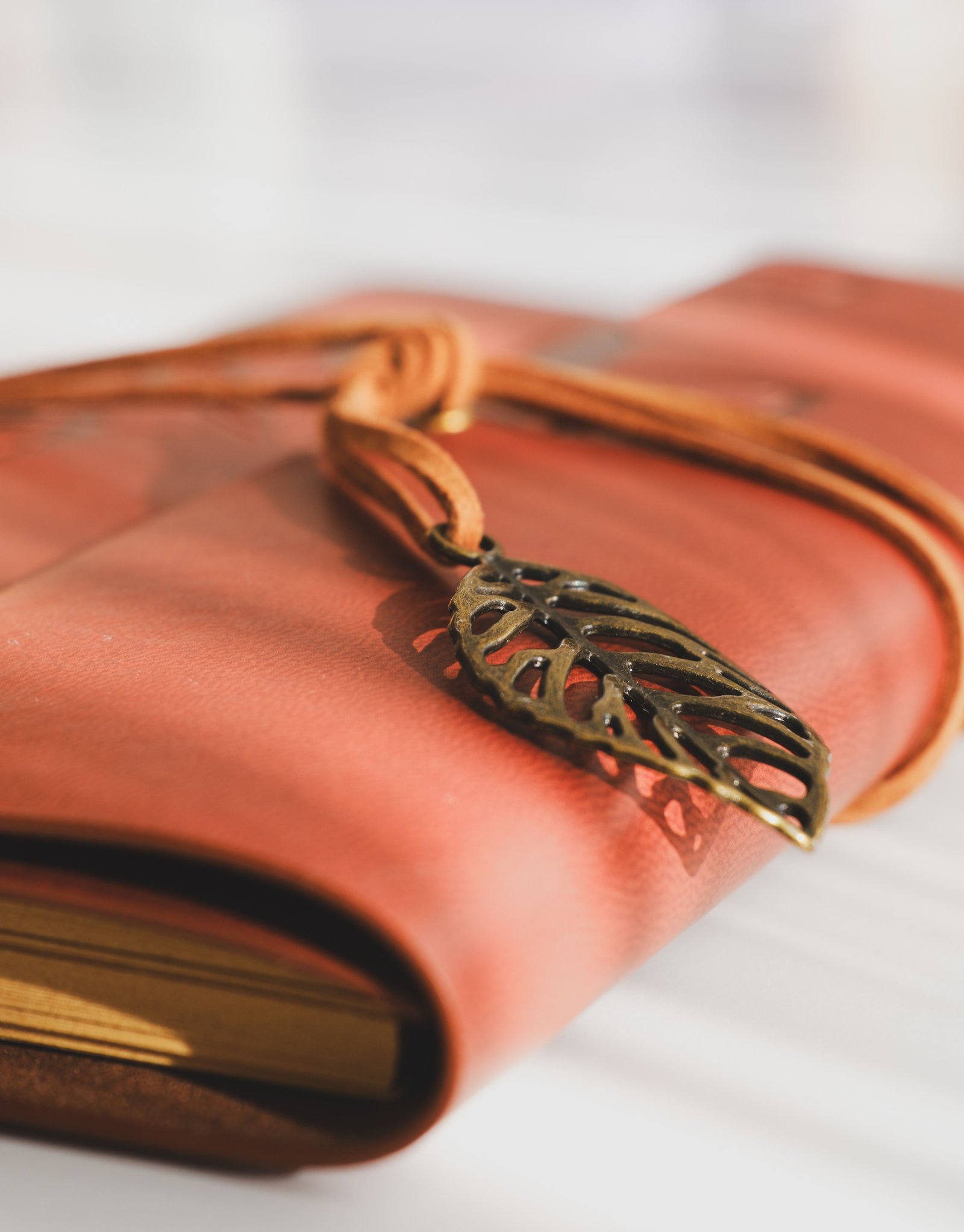 Paperly notebook collection